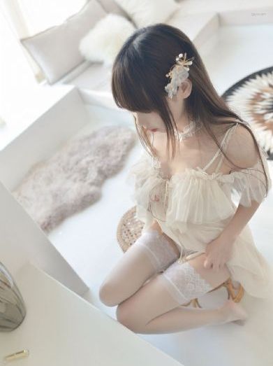 天使与龙的轮舞全集免费完整版