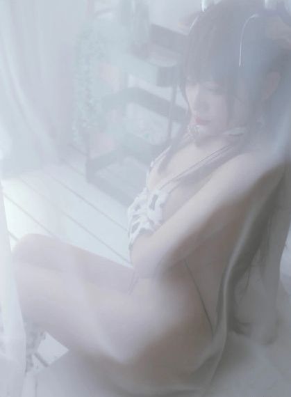 如果历史是一群喵全集免费