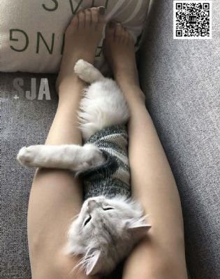 一级pian