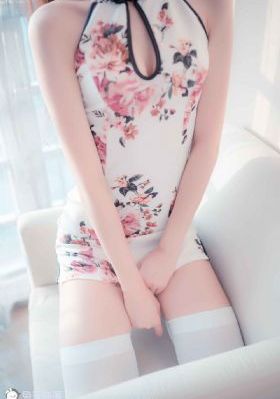 茶狐杯cupfox