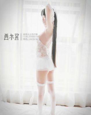 翡翠波斯猫