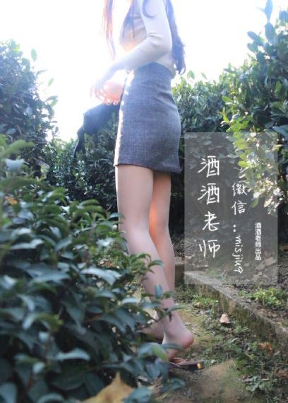 单身男女电视剧免费观看