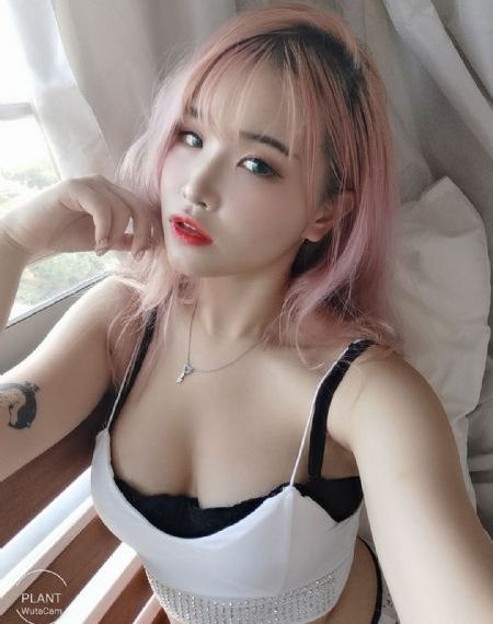 最后一枪电视剧全集免费观看