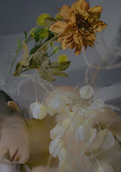 长今的花园中字