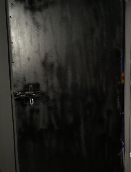 鲸鱼视频在线观看18