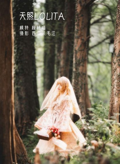 又粗又大又爽视频