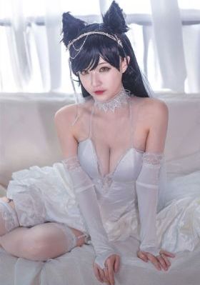 春来枕星河