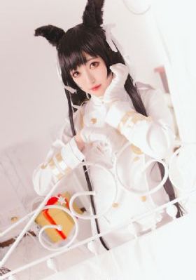 爱国者