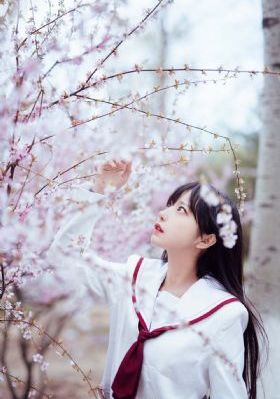传媒视频在线观看